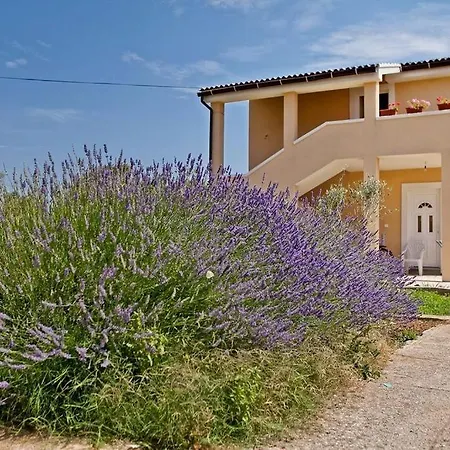 Lägenhet In With Sea View, Terrace, Air Conditioning, Wifi 3617-5 Poljana (Ugljan)